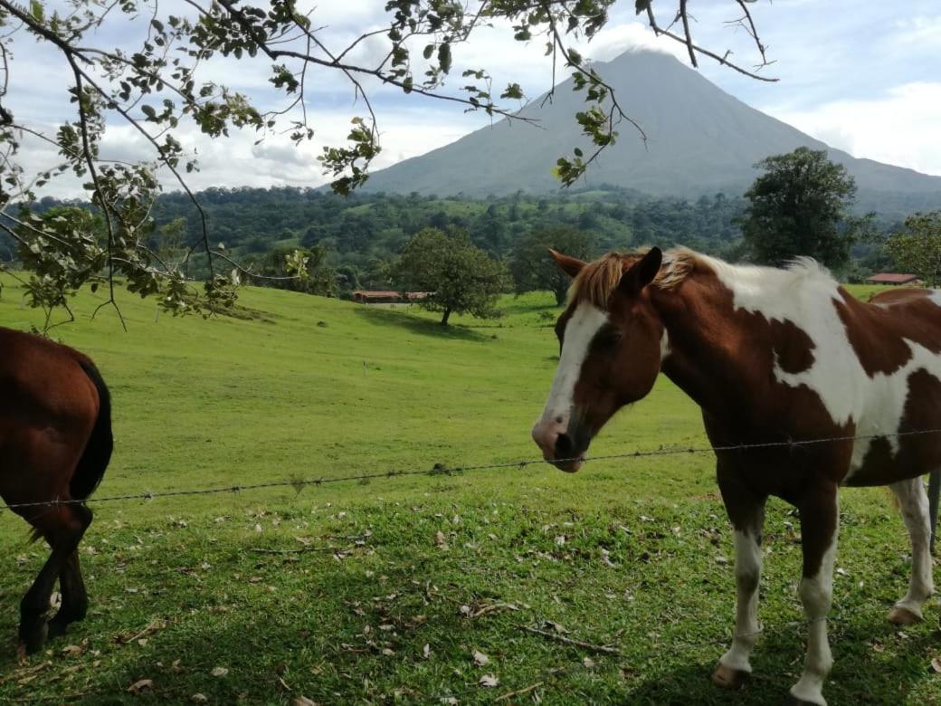 La Fortuna Casona Rustica & Bungalow المظهر الخارجي الصورة